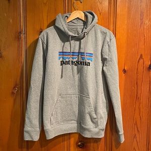 Patagonia Logo Hooded Sweatshirt (S)